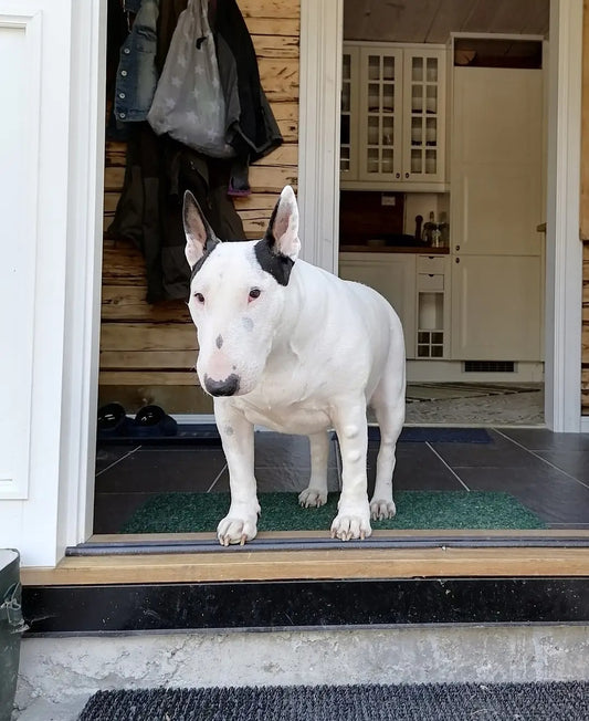 Håndlaget akryllampe med ditt eget bilde – laget i Norge