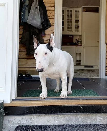 Personal acrylic lamp with your own photo – handmade in Norway